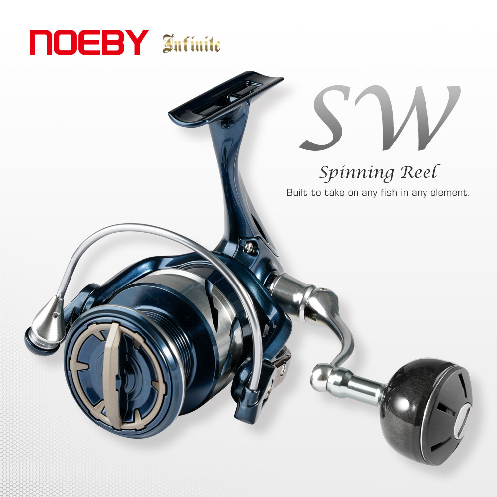 Daiwa Reel Bg - Carrete de Pesca Giratorio para Agua