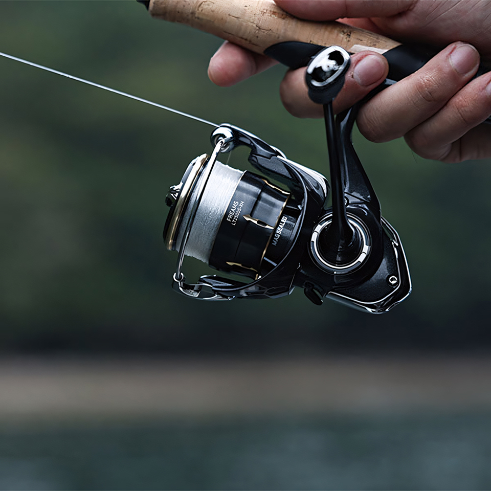 Carrete de Pesca Giratorio DAI - Daiwa Reel Bg reseña y precio