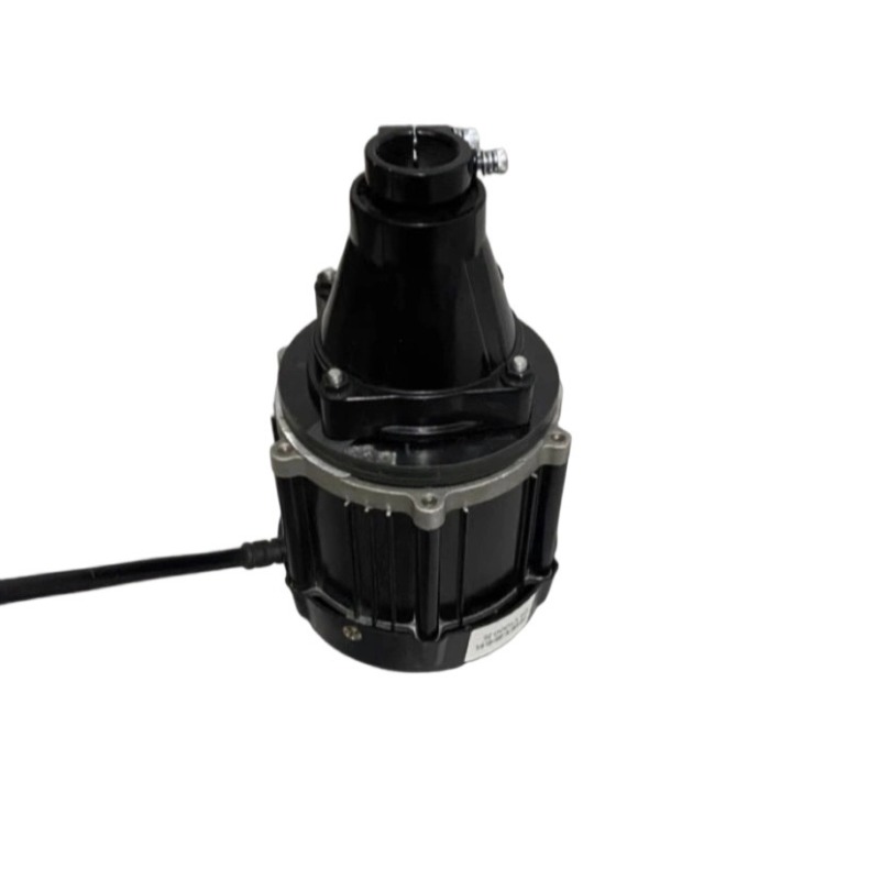 Motor Fuera de Borda Sin Escob - Fishing Boat Outboard Motor reseña y precio